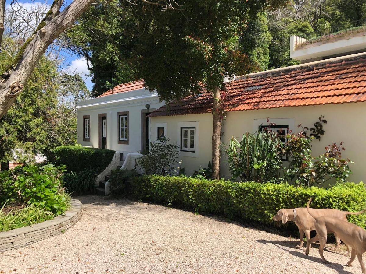 Luxurious royal estate in historic Sintra paradise Exterior foto