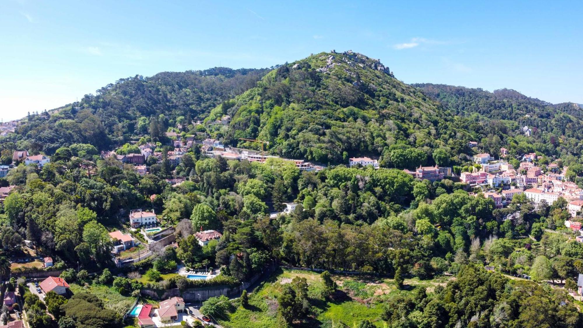 Luxurious royal estate in historic Sintra paradise Exterior foto