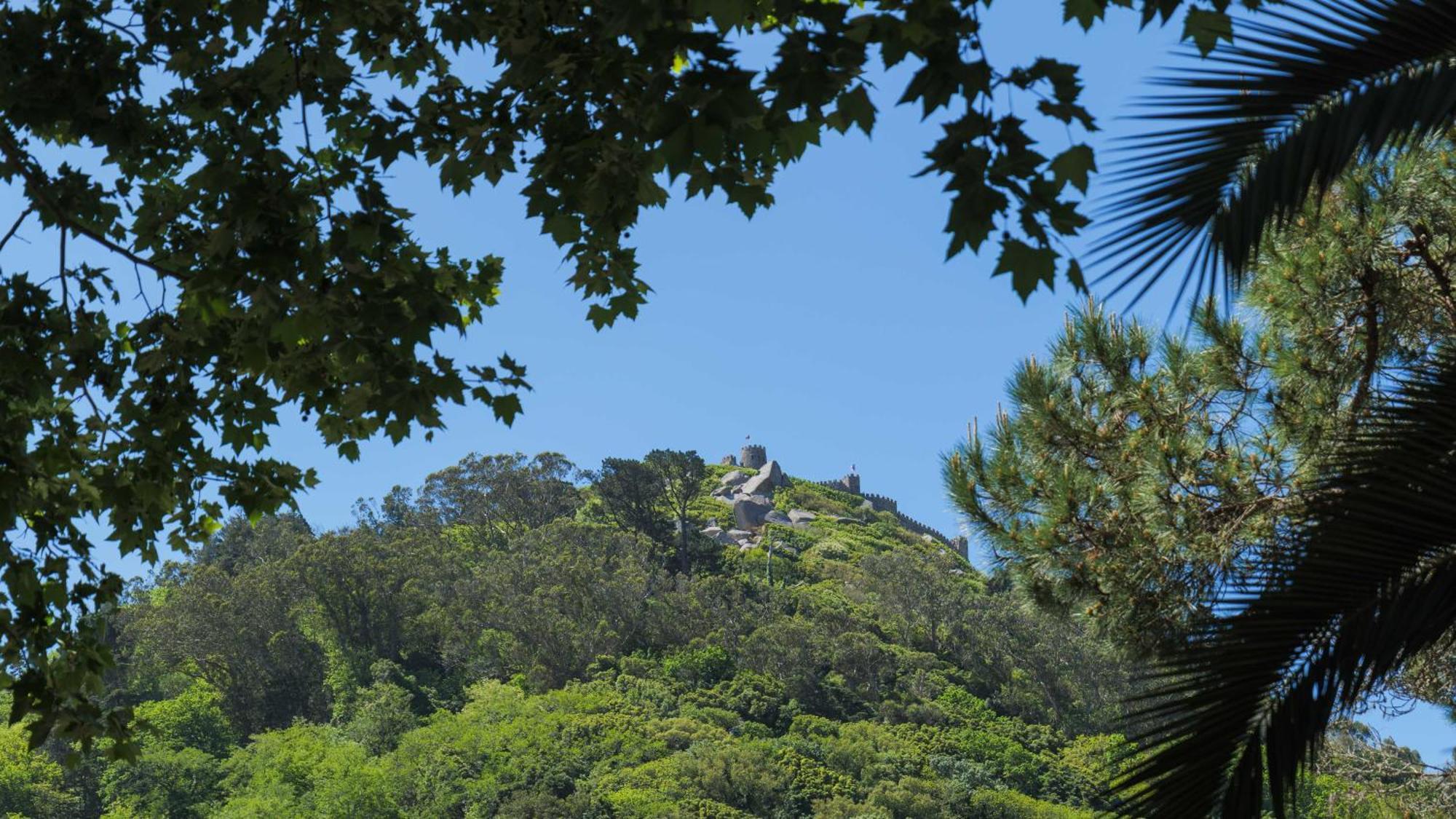 Luxurious royal estate in historic Sintra paradise Exterior foto
